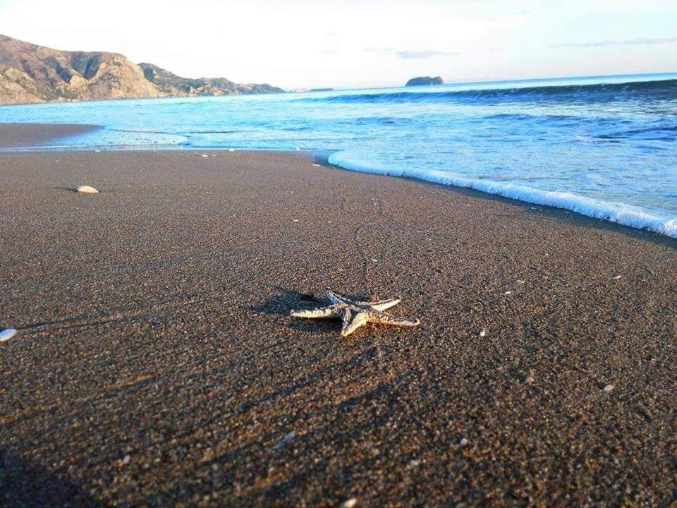 Delfini 2 Aparthotel Λαγανάς Εξωτερικό φωτογραφία